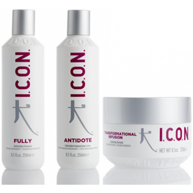 PACK ICON ANTIOXIDANTS FULLY, ANTIDOTE E INFUSION