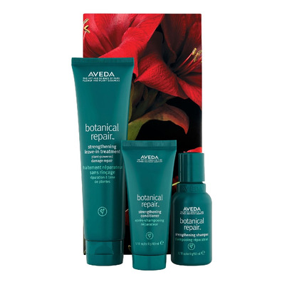 Aveda Botanical Repair ™ Set