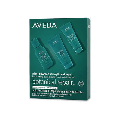 Aveda Kit Trío Fortificante Botanical Repair