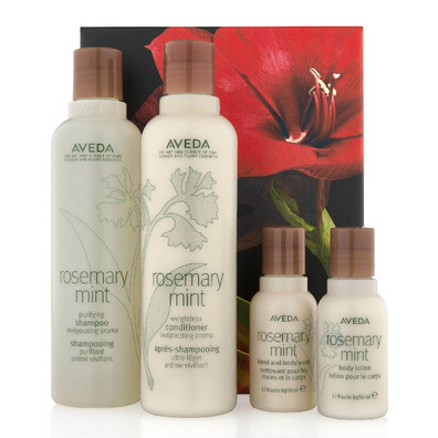 Aveda Rosemary™ Set