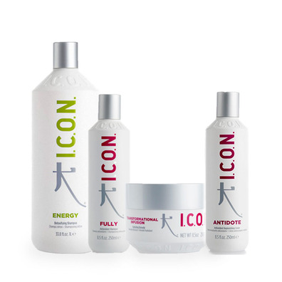 PACK ICON ENERGY 1L. FULLY 250 ML  INFUSION + ANTIDOTE