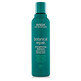 Aveda Botanical Repair Strengthening Shampoo 200 ml