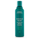 Aveda Botanical Repair Strengthening Shampoo 200 ml