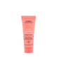 Aveda Nutriplenish™ Treatment Masque Light Moisture