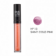 RVB LAB Brillo de Labios Lip Gloss