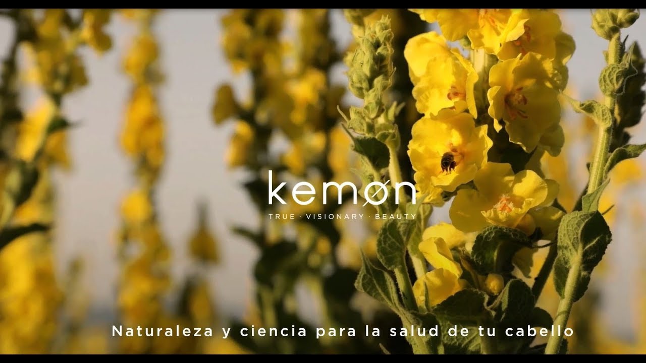 Kemon packs