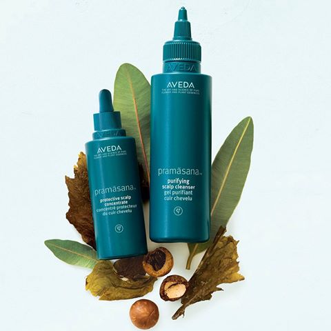 Productos naturales para el cabello de la marca Aveda